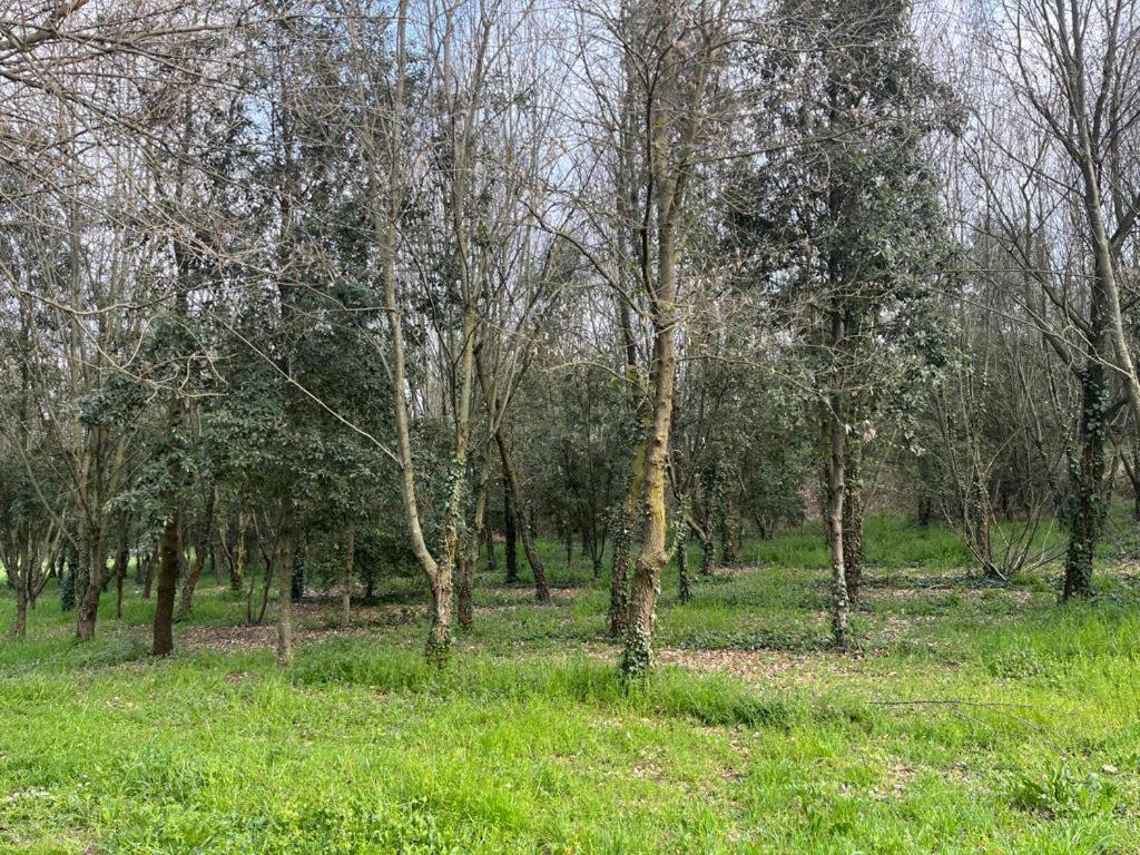 Green Woods Vérone Extérieur photo