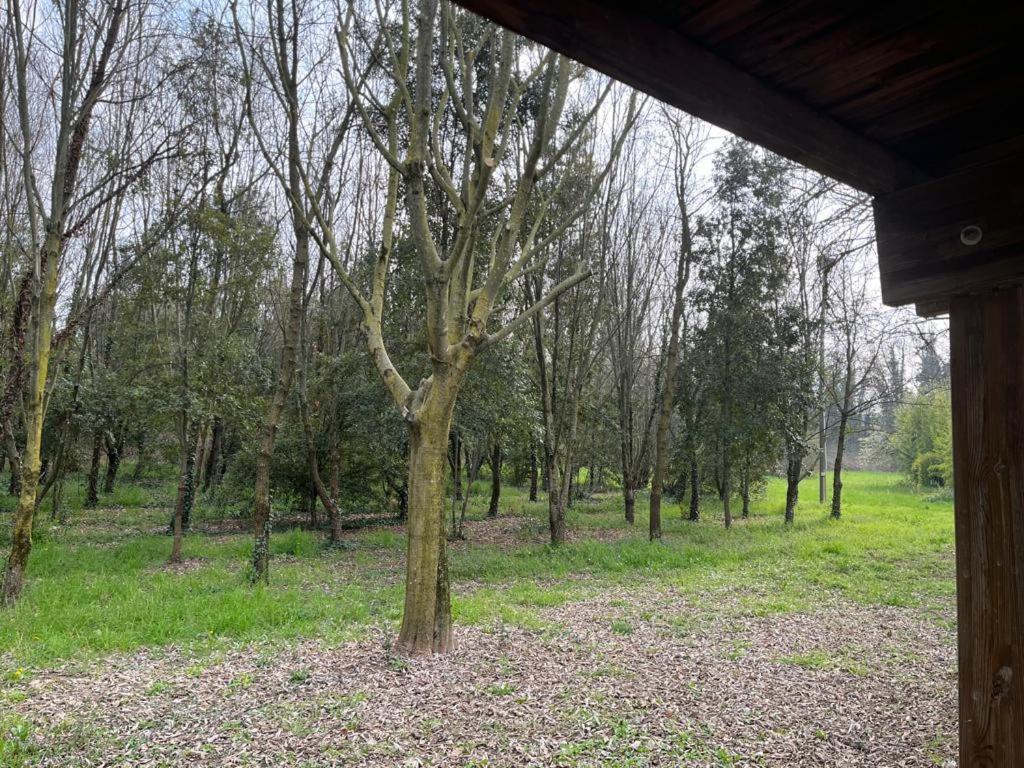 Green Woods Vérone Extérieur photo